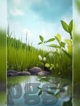 老式足球比分直播-老式足球比分直播，岁月里的激情回响