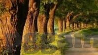 足球比分是88-绿茵场上的数字狂欢，当足球比分定格为88
