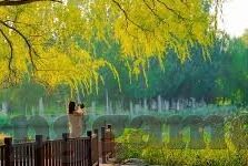 足球比分有疑问-足球比分有疑问，探寻真相背后的竞技精神与公正追求